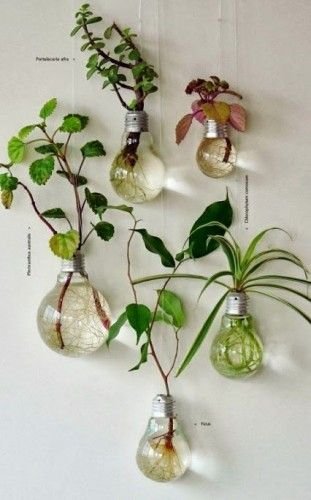 20-hanging-planter-ideas-for-home14